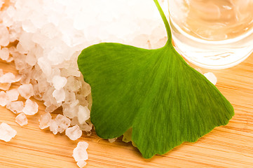 Image showing fresh leaves ginko biloba essential oil and sea salt - beauty tr