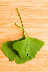 Image showing Fresh Leaves Ginkgo On The Wood