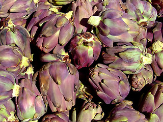 Image showing Baby artichokes