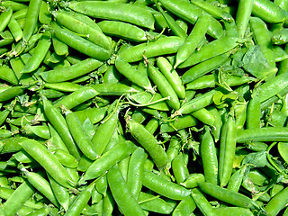 Image showing Beans peas