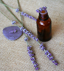Image showing Bunch of lavender flowers and bottle of essential oil on sackclo