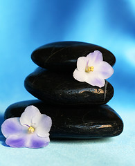 Image showing Spa stones with flowers on blue silk background
