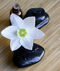 Image showing Spa black stones with white flower and bottle of oil