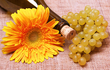 Image showing Wine bottle with flower and grapes branch