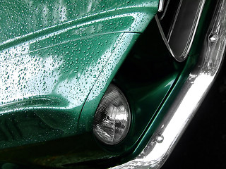 Image showing Mustang green on the rain