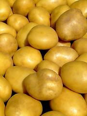 Image showing Potato