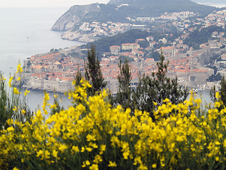 Image showing Dubrovnik cityscape