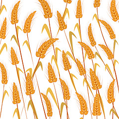 Image showing Wheat background