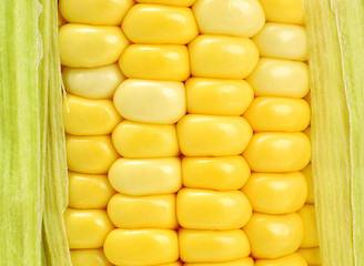 Image showing corn