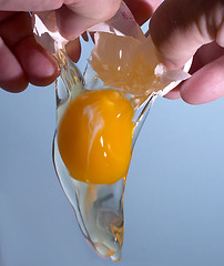 Image showing Add an egg