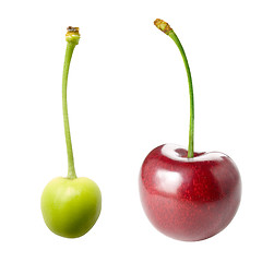 Image showing Unripe and ripe cherry.