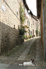 Image showing Italy. Tuscany region. Cortona town