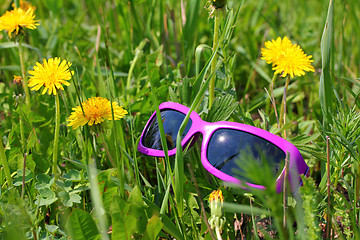 Image showing sunglasses in green grass with dandelions