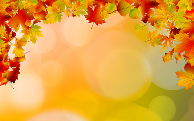 Image showing Autumn colored leaves framing. EPS 8