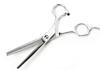 Image showing Professional Haircutting Scissors. Studio isolation on white. 