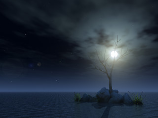 Image showing dead tree at night