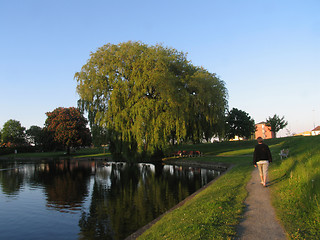 Image showing Summer evening walk