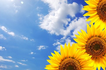 Image showing blue sky and sunflower