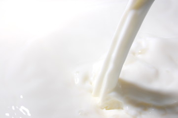 Image showing splashing milk