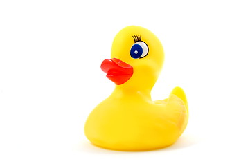 Image showing toy rubber duck 