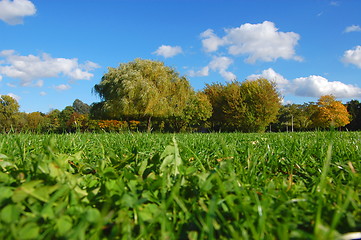 Image showing forest and garden under blue sky at fall
