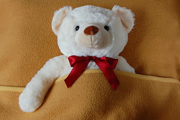 Image showing sick teddy