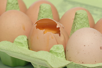 Image showing Eggs