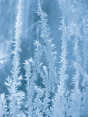 Image showing frozen glass