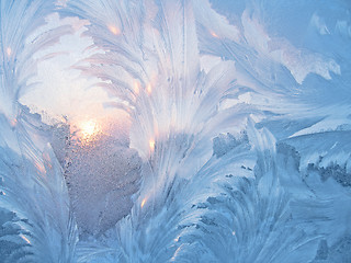 Image showing frost and sun