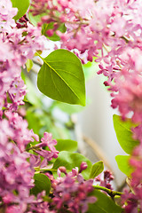 Image showing Bouquet of a lilac