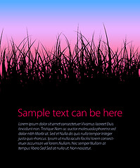 Image showing Vector grass background with place for your text