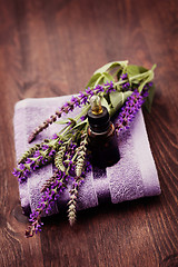 Image showing sage essential oil