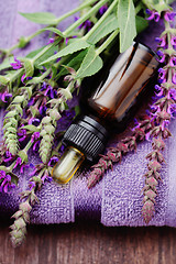 Image showing sage essential oil