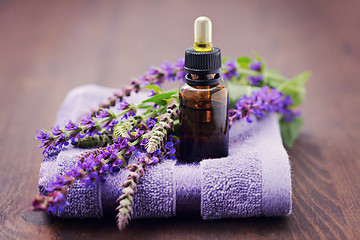 Image showing sage essential oil