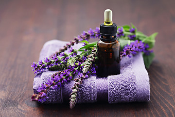 Image showing sage essential oil