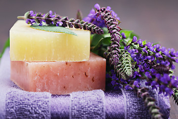 Image showing sage soap