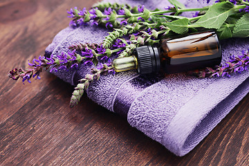 Image showing sage essential oil