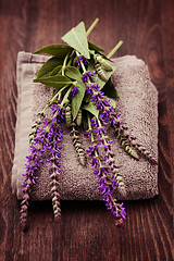 Image showing fresh sage