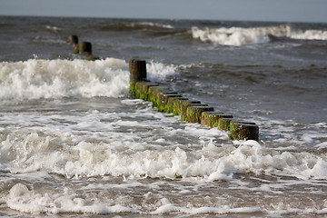 Image showing wooden stakes at the beach