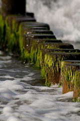 Image showing wooden stakes at the beach