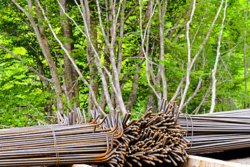 Image showing Iron and tree