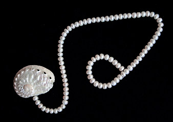 Image showing White pearls and nacreous cockleshell 