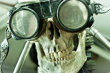 Image showing Human skull with insane look and goggles (robot)