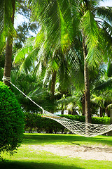 Image showing Hammock 