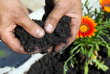 Image showing Black soil