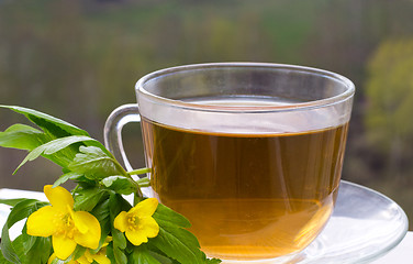 Image showing Cup of toning up tea