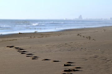 Image showing beach footsteps