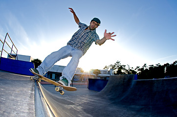 Image showing Skateboarder on a grind