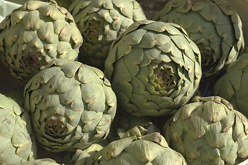 Image showing Artichokes