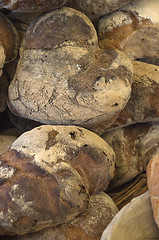 Image showing Fresh crusty white bread